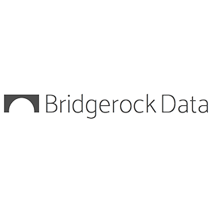 Bridgerock Data logo